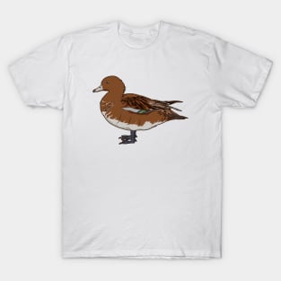 Drawing of a Eurasian wigeon T-Shirt